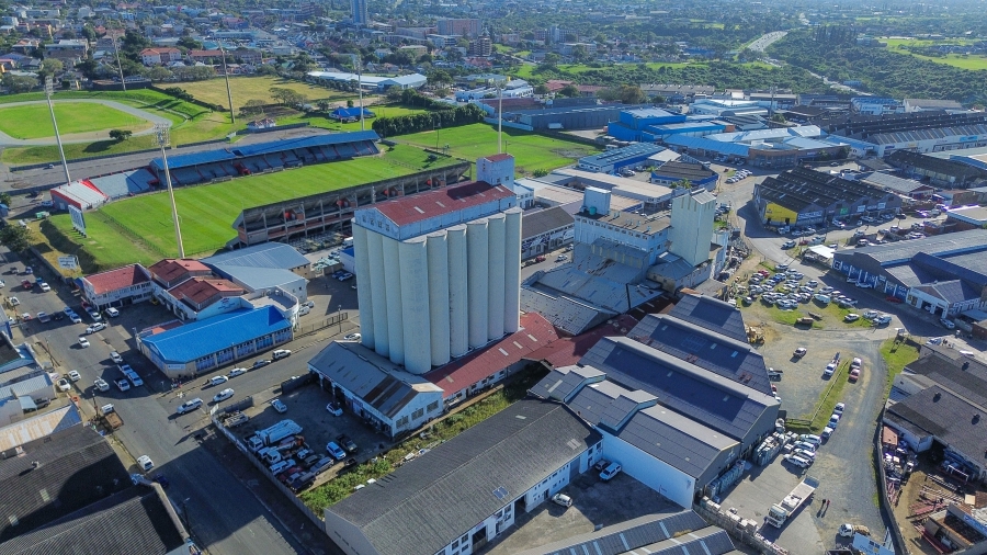 Commercial Property for Sale in Arcadia Eastern Cape
